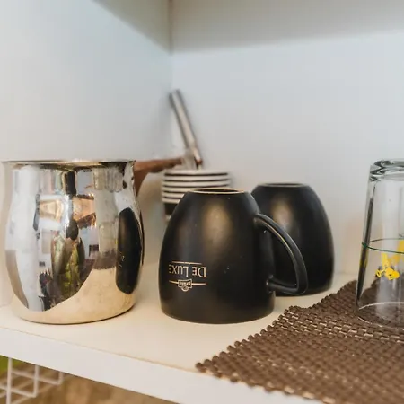 Apartman Salaṣtrikic 2 *