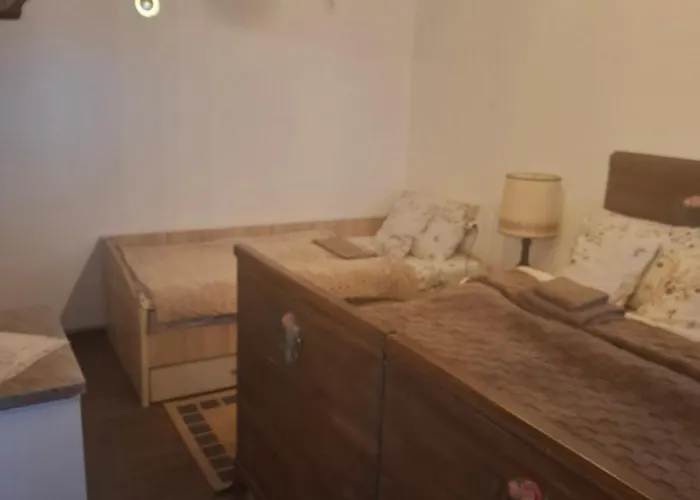 Apartament Salaṣtrikic 2 *