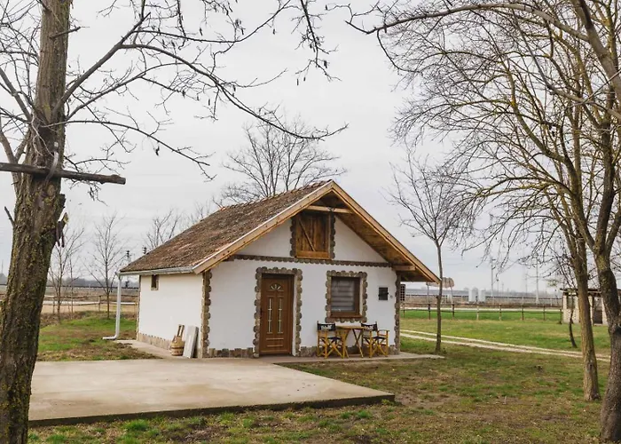 Apartament Salaṣtrikic 2 *