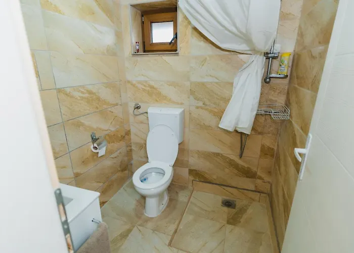 Apartament Salaṣtrikic 2 *